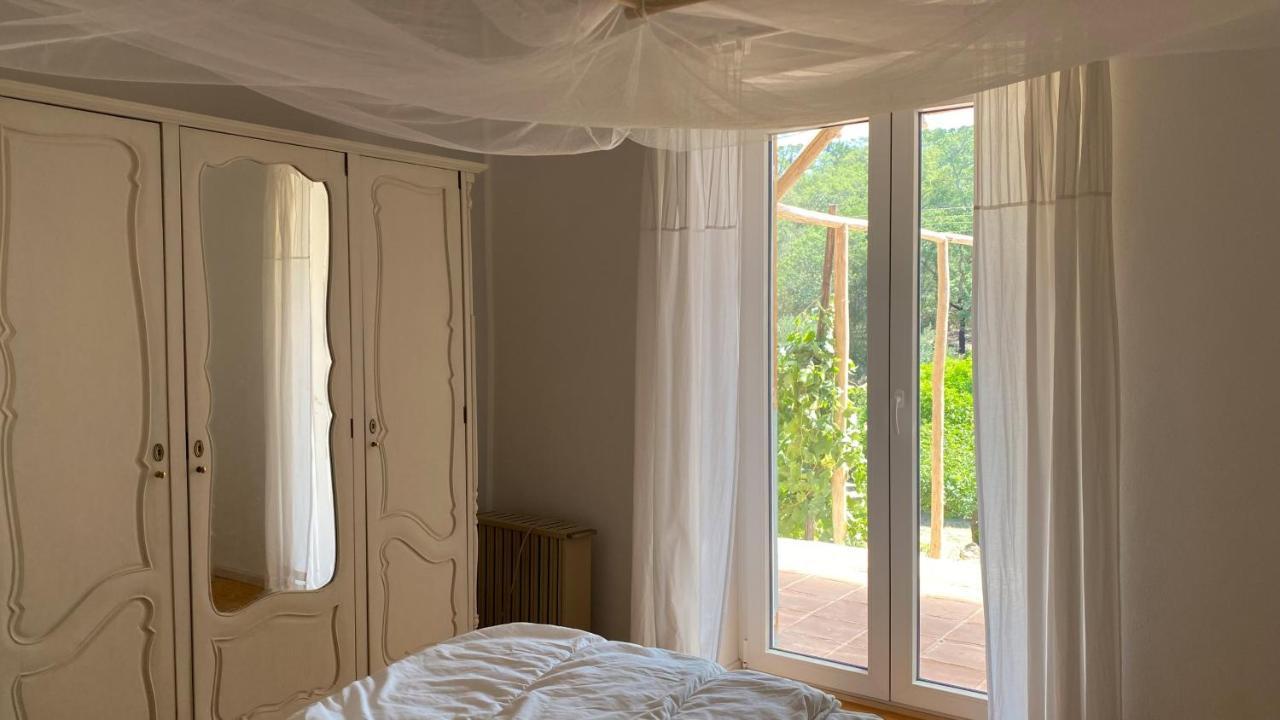 Casalinho In Portugal Country House تومار المظهر الخارجي الصورة